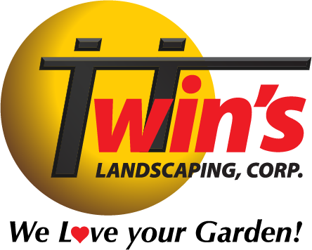 twins logo